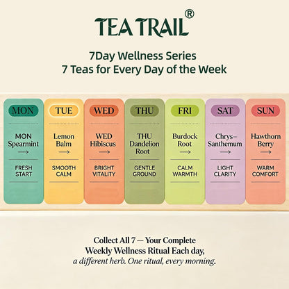 TeaTrail Pure Spearmint Tea – 25 Pyramid Tea Bags, Caffeine-Free Herbal Tea for Digestion & Bloating Relief, 100% Natural Spearmint Leaves, Corn Fiber Compostable Bags, Hot & Iced Brew
