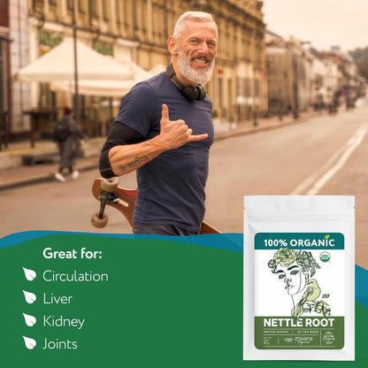 Organic Nettle Root Tea (40 Bleach-Free & Microplastic-Free TeaBags) - Men’s Health - Prostate, Hormones