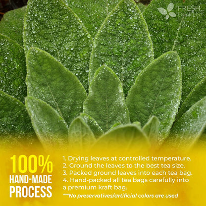 FreshDrinkUS, Premium Mullein Leaf Tea, 40 Count, Pure, Caffeine Free