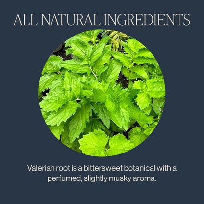 Rishi Tea Valerian Dream Organic Sachet Tea Bags, Caffeine Free, 30ct