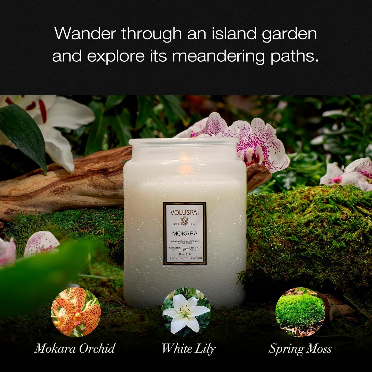 Voluspa Baltic Amber Candle, 18 oz, Coconut Wax Blend, Scented Candles for Home, 100 Hour Burn Time, Candle Jar