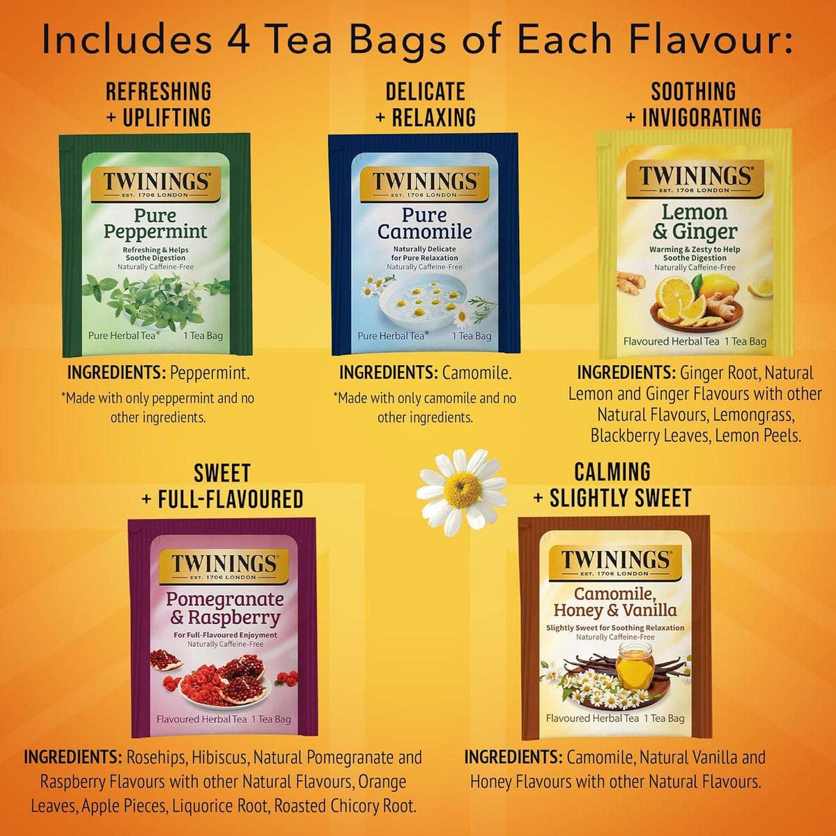 Twinings Herbal Tea Variety Pack, 20 Count (Pack of 1), Formerly Assorted Herbal, Includes 5 Flavours, Naturally Caffeine-Free, Enjoy Hot or Iced, 20 Teabags