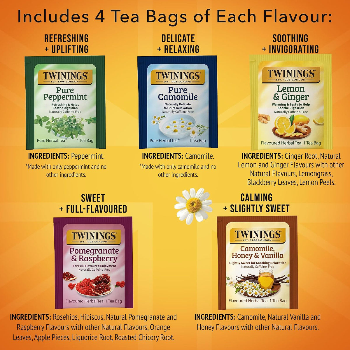 Twinings Herbal Tea Variety Pack, 20 Count (Pack of 1), Formerly Assorted Herbal, Includes 5 Flavours, Naturally Caffeine-Free, Enjoy Hot or Iced, 20 Teabags