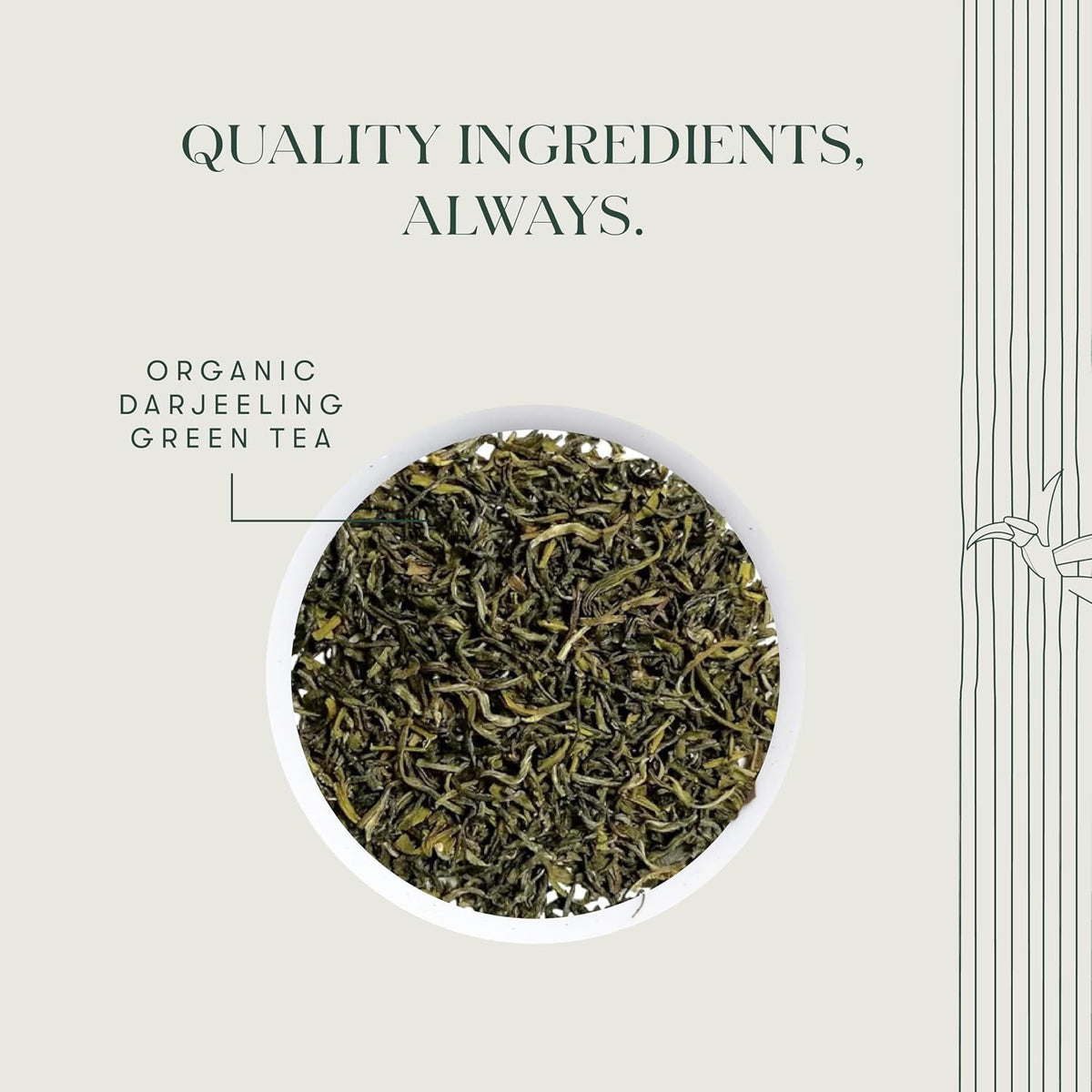 Luxmi Estates Tokyo Green Organic Green Tea (50 Tea Bags) Tea Bags For Relaxing, Calming, and Stress Relief, With Certified Organic Darjeeling Makaibari Green Tea