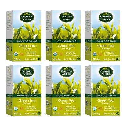Garden of the Andes Kosher Organic Green Tea, 120 Bags