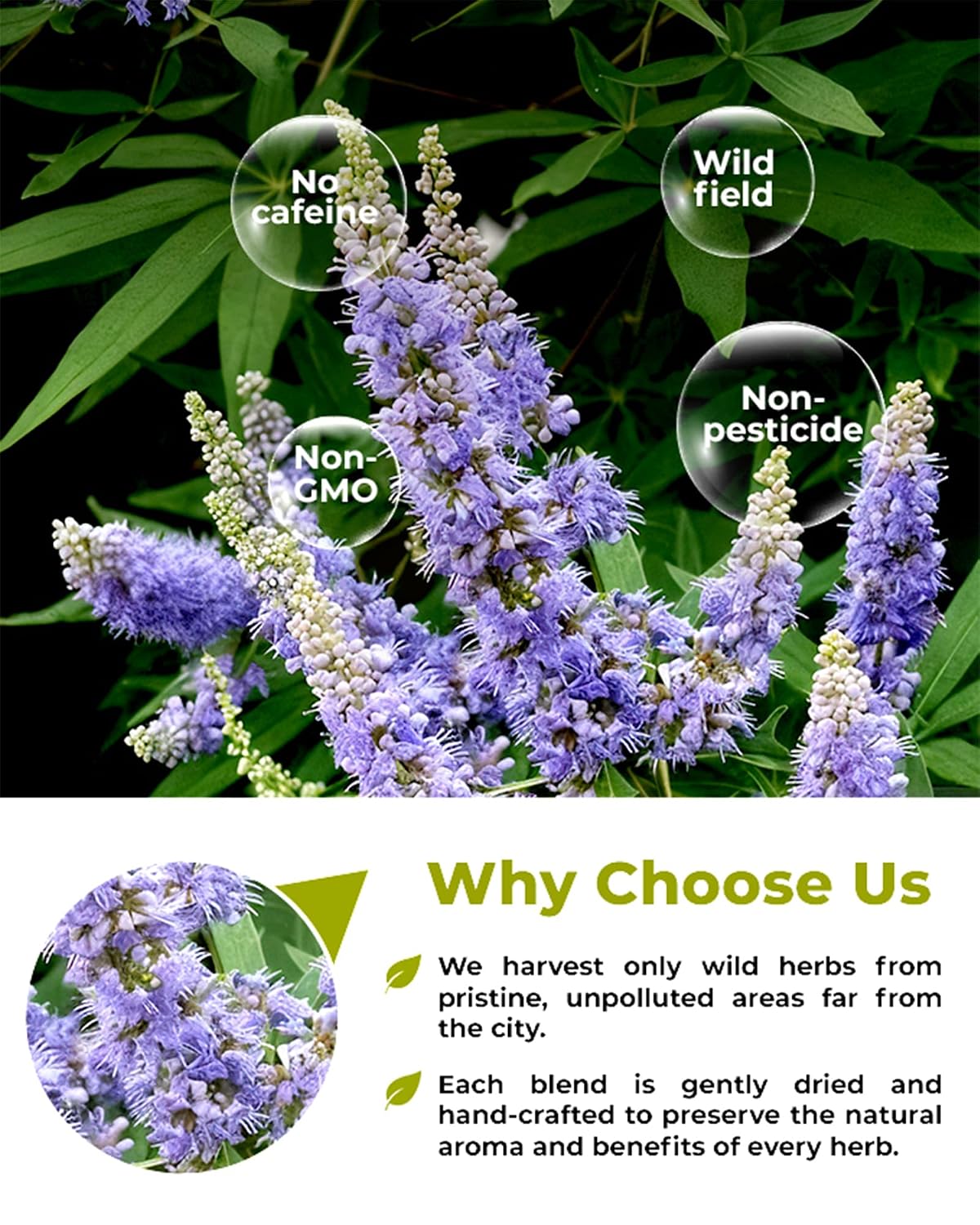 50 Bags Chaste Tree Berry Сhasteberry Tea Vitex Tea Herb (Vitex Agnus-Castus) - 2 g Bags Chaste Tree Berry Herbal Vitex Sauzgatillo