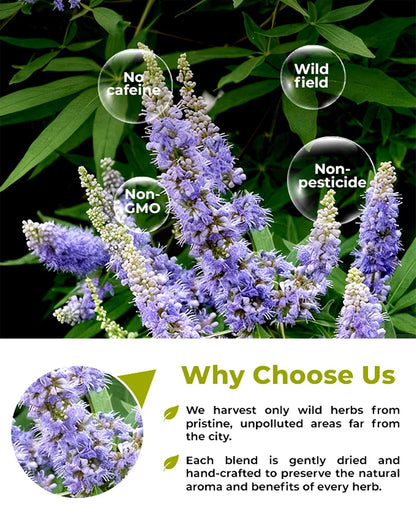 50 Bags Chaste Tree Berry Сhasteberry Tea Vitex Tea Herb (Vitex Agnus-Castus) - 2 g Bags Chaste Tree Berry Herbal Vitex Sauzgatillo