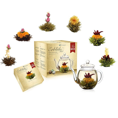 Creano Blooming Tea Gift Set with Glass Teapot 17oz (500ml) - Green Tea Fruity Flavoured Tea Flowers in 6 Varieties - Flowering Tea Gift for Easter