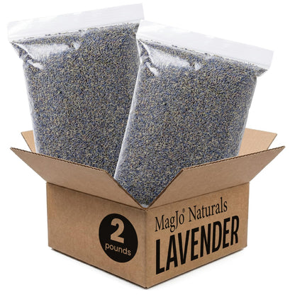 MagJo Naturals Lemon Balm Tea, Bulk Herbal Tea, Loose Leaf Melissa Officinalis, Caffeine Free, Cut and Sifted, 1 pound (16 ounces) (1 pack)