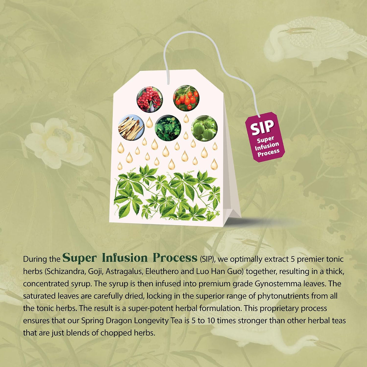 Dragon Herbs Spring Dragon Longevity Tea - Adaptogenic Gynostemma Leaf Herbal Tea Infused with Schizandra Berry, Goji Berry, Astragalus Root, Eleuthero Root, Luo Han Guo Fruit – Immune Support, Calming, Invigorating, Energy, Soothing, Digestion Support,
