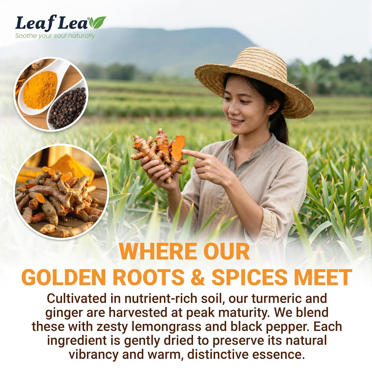 LeafLea Turmeric Ginger Black Pepper Tea Bags, 120 Count Family Pack