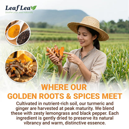LeafLea Turmeric Ginger Black Pepper Tea Bags, 120 Count Family Pack