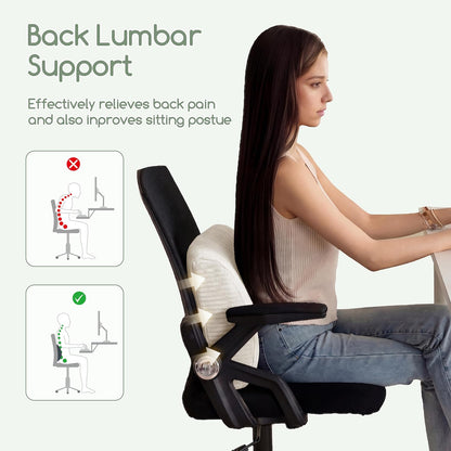 HIGOGOGO Lumbar Support Pillow for Recliner Chair/Accent Chair/Couch, Memory Foam Back Support Cushion for Elderly, Recliner Cushions for Back Rest, Pain Relief, Reading, Washable Cover, Dark Grey