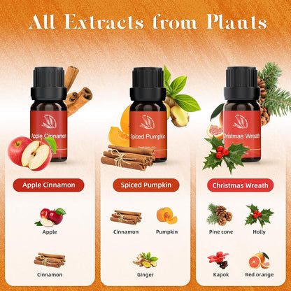 ASAKUKI Essential Oils for Diffuser –6 Mood Essential Oil Blends (Breathe, Uplift, Sensual, Balance, Unwind, Rest) for Morning to Night Rituals, Home & Daily Use-Thoughtful Gift