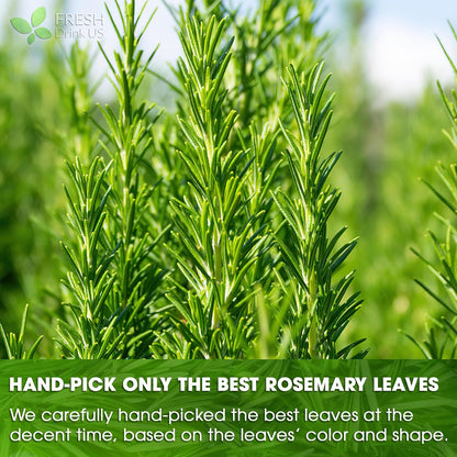 FRESHDRINKUS, 31 Rosemary Leaf Tea Bags, 100% Natural and Pure Rosemary Dried Leaves, Pure Herbal Tea, No Additives, No Caffeine, No Gluten, Vegan.