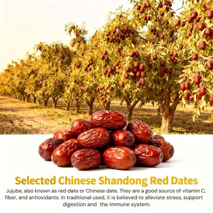 Eastrue Ginger Tea with Goji Berry,Jujube Dates,Longan-Chinese Herbal Tea