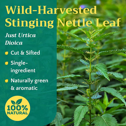 Stinging Nettle Leaf Tea - Wildcrafted Cut & Sifted Dried Leaves, 1oz