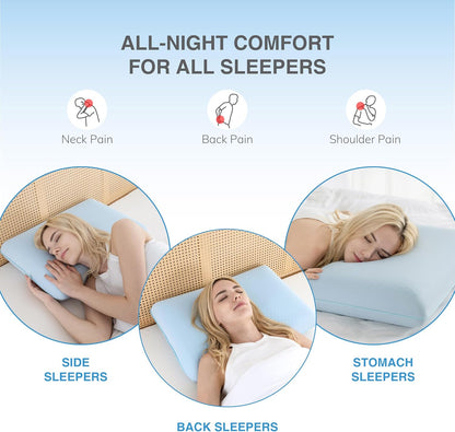 EGOHOME Cooling Gel Memory Foam Pillow - Reversible Cooling Cover, Neck Support for Side, Back and Stomach Sleepers, Removable & Machine Washable, All-Season Comfort, Standard Size, Purple