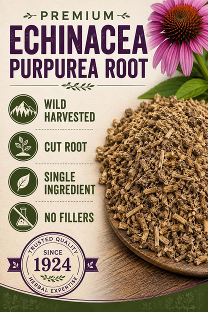 Nature's Wonderland Echinacea Purpurea Root Cut 4oz. (Echinacea purpurea) – Wild Harvested Herbal Tea Cut | Premium Botanical Ingredient | No Fillers | Herbal Tea, Decoctions & DIY Herbal Preparations
