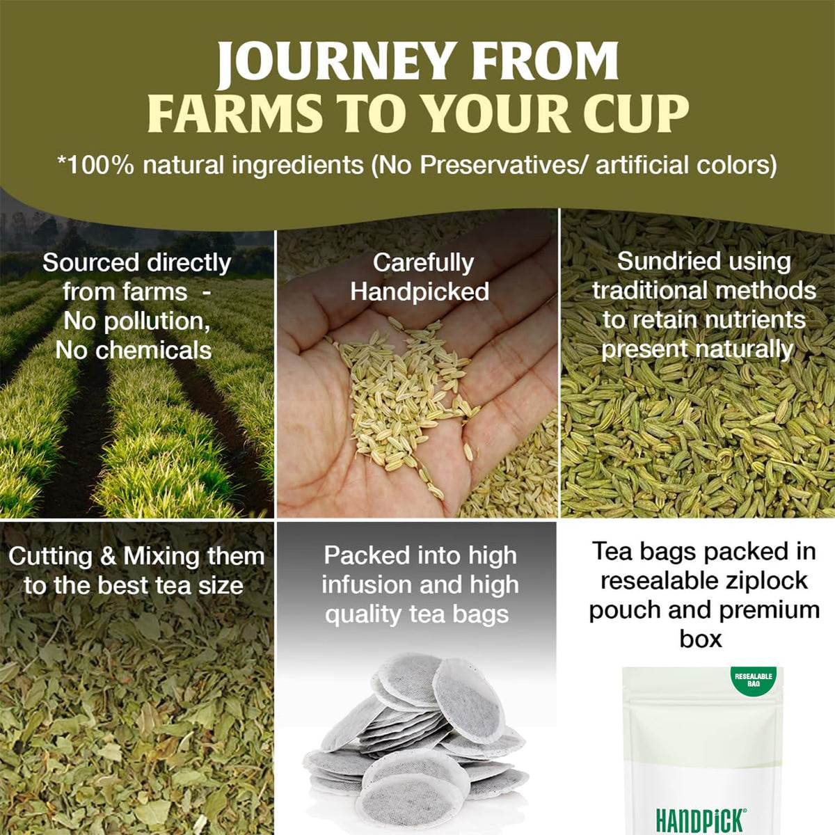 HANDPICK Fennel Tea (100 Teabags) Authentic Indian Origin Natural Grown