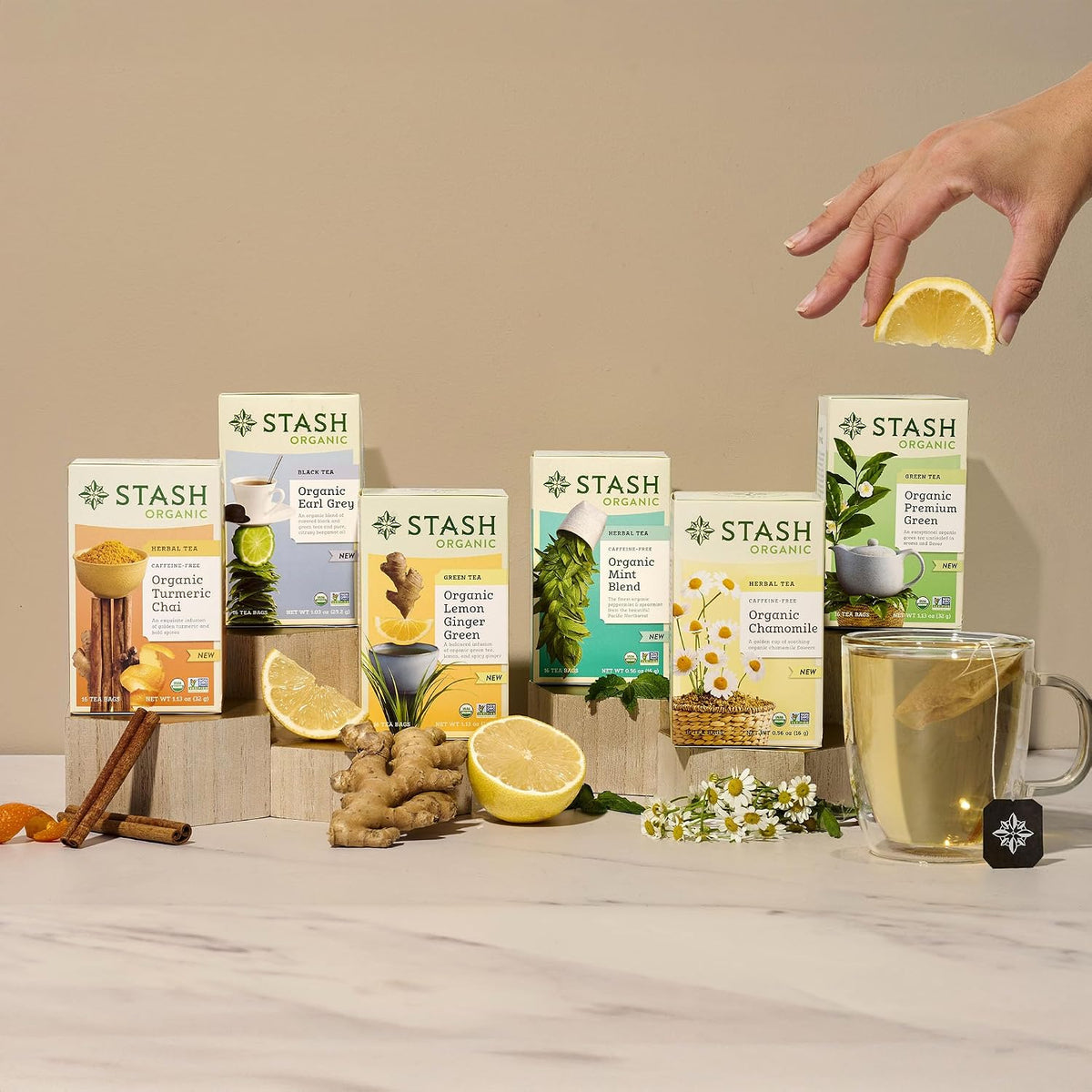 Stash Tea Organic Lemon Ginger Green Tea, Caffeinated, Non-GMO Project Verified, Serve Hot or Iced, 96 Tea Bags, 16 count (6 pack)