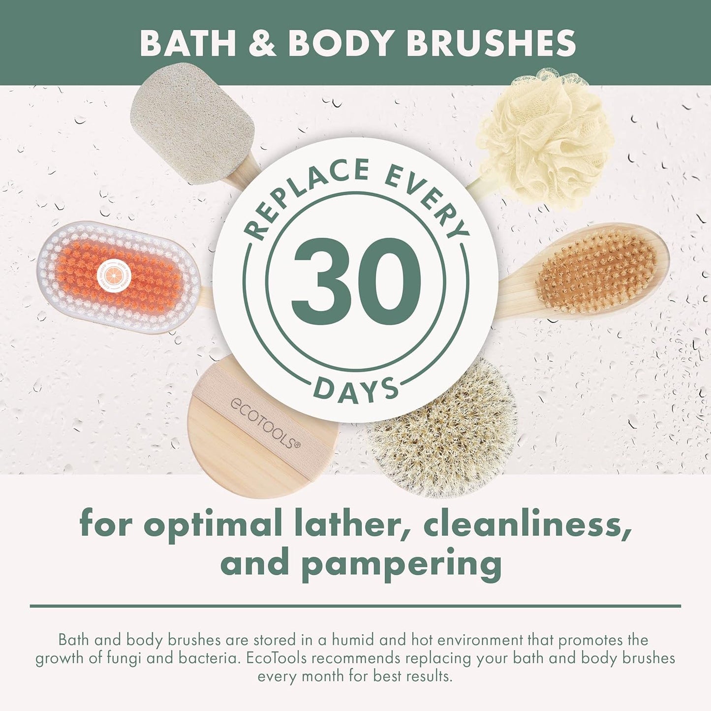 EcoTools Dry Body Brush, for Post Shower & Bath Skincare Routine, Removes Dirt and Promotes Blood Circulation, 1 Count