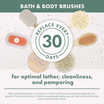 EcoTools Dry Body Brush, for Post Shower & Bath Skincare Routine, Removes Dirt and Promotes Blood Circulation, 1 Count