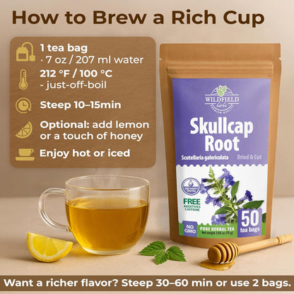 50 Bags Skullcap Herbal Tea (Scutellaria) – 50 Tea Bags 1.5g Skullcap Herb Escutelaria