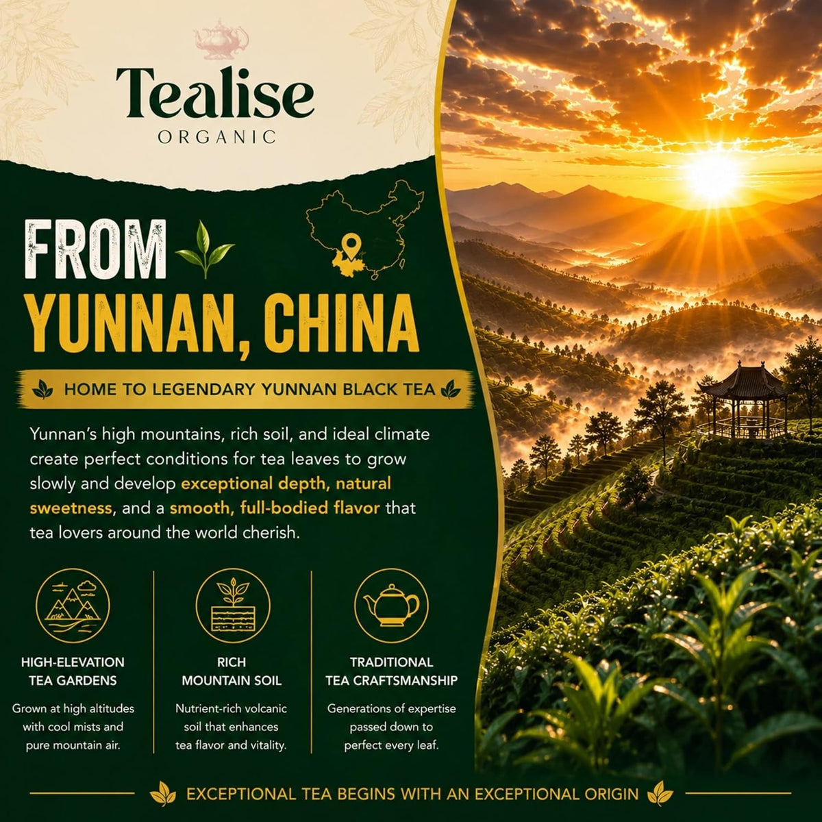 Organic English Breakfast Black Tea – High Mountain Yunnan Whole Leaf Tea – Bold, Smooth & Full-Bodied Morning Tea (60 Tea bag (Pack of 1))