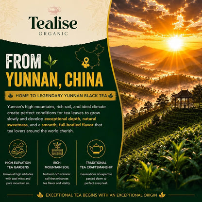 Organic English Breakfast Black Tea – High Mountain Yunnan Whole Leaf Tea – Bold, Smooth & Full-Bodied Morning Tea (60 Tea bag (Pack of 1))