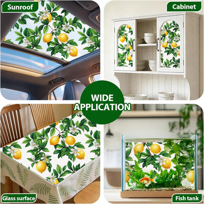 Frosted Glass Window Film, Decorative Sun Heat Blocking,Anti UV Save Energy
