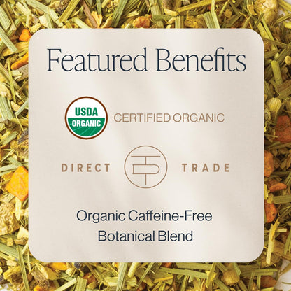Rishi Tea Turmeric Ginger Herbal Tea - Organic Sachet Bags, Caffeine Free Blend with Spicy Ginger & Citrus, Hot or Iced - 50 Count (Pack of 1)