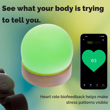 The Dome Biofeedback Light — See Your Heart Rate in Color | Real-Time Stress & Recovery Awareness with App & Wearable Sensor