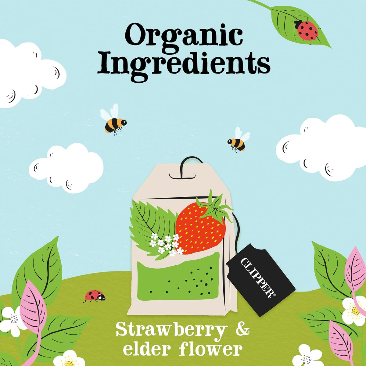 Clipper Organic Strawberry & Elderflower Herbal Tea, 50 Tea Bags