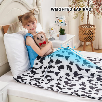 yescool Weighted Lap Pad 2 Pounds Weighted Lap Blanket, Space Plane Small Weighted Blanket, Weighted Throw Blanket Gifts for Travel Indoor Outdoor, 20"x30"
