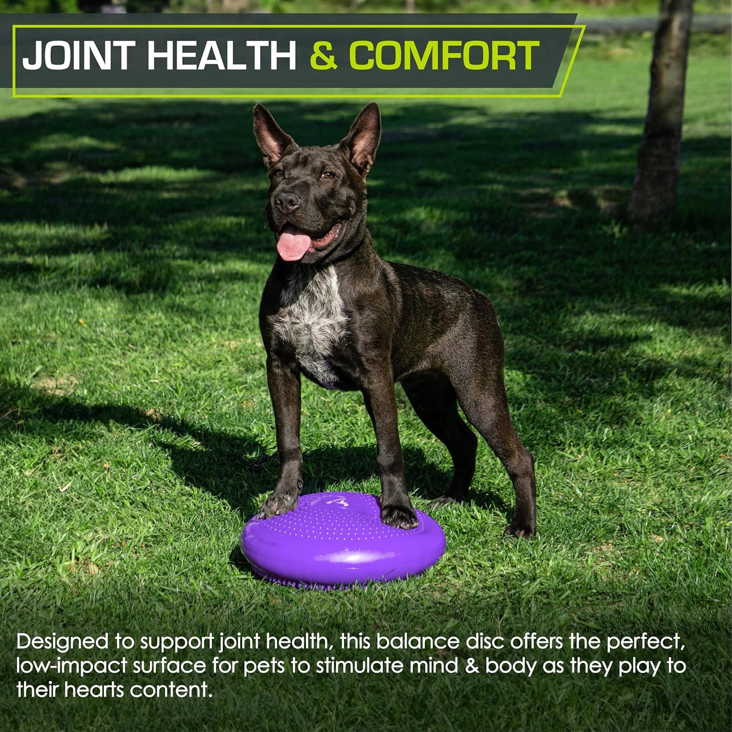 ProsourceFit Core Balance Disc Trainer, 14” Diameter with Pump for Fitness, Balance Training, or Seating; Wobble Board for Core Stability; Flexible Floor Cushions