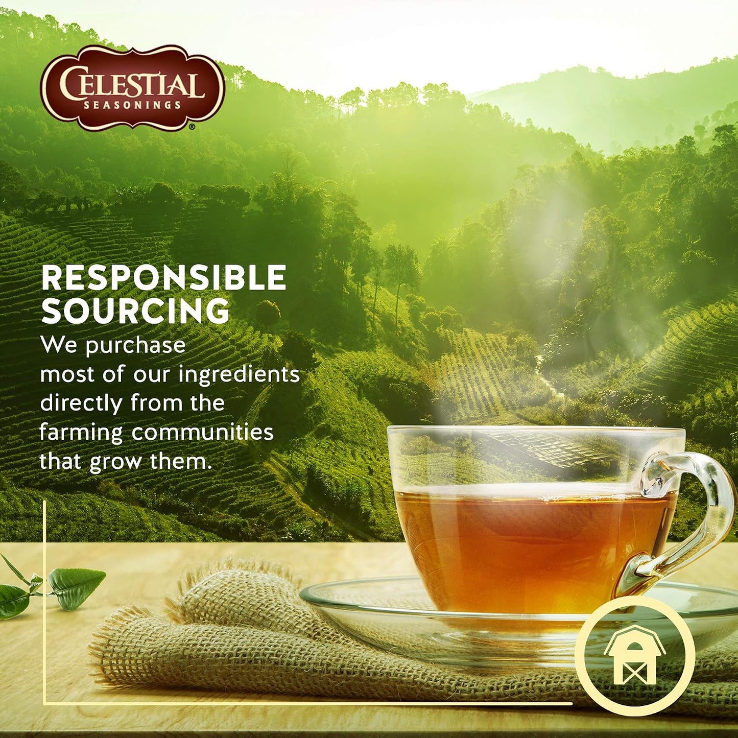 Celestial Seasonings 100% Natural Lemon Zinger Herbal Tea 20 ct