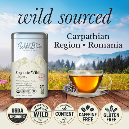 Wild Bliss Organic Wild Thyme Tea - Caffeine Free Respiratory Herbal Support - Pharmacopoeia Potency - 20 Plant Based Tea Bags (Pack of 2)