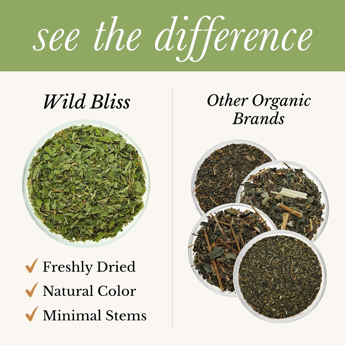 Wild Bliss Organic Wild Stinging Nettle Leaf Tea - Caffeine Free Urinary Tract Herbal Support - Pharmacopoeia Potency - 20 Plant Based Tea Bags