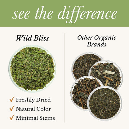 Wild Bliss Organic Wild Stinging Nettle Leaf Tea - Caffeine Free Urinary Tract Herbal Support - Pharmacopoeia Potency - 20 Plant Based Tea Bags