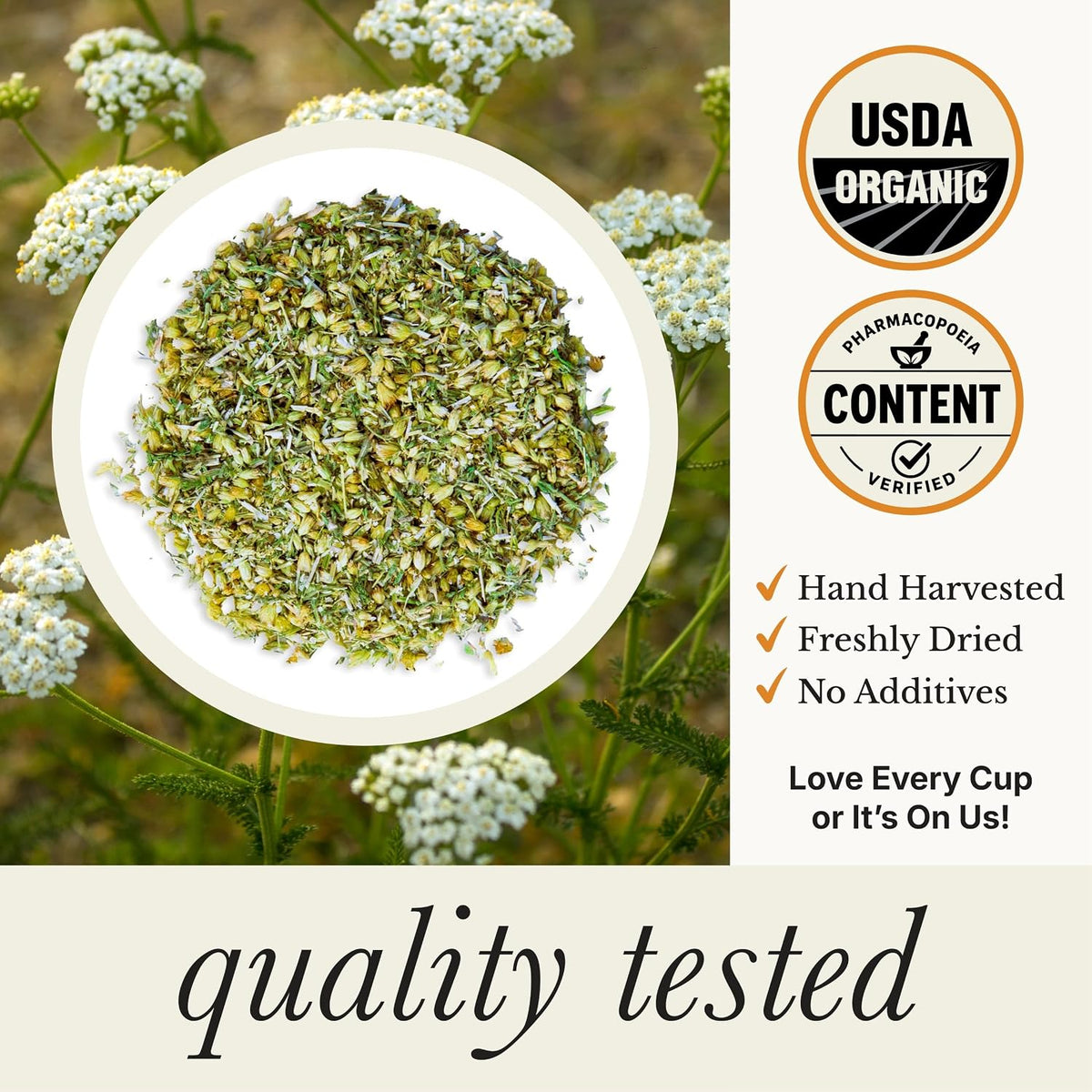 Organic Wild Yarrow Flower Herbal Tea, 75 Tea Bags