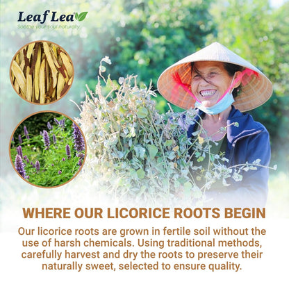 LeafLea Licorice Root Tea Bags, Caffeine-Free Liquorice Tea, 80 Count