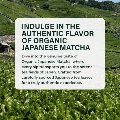 Tenzo Matcha Green Tea Powder - Matcha Powder USDA Organic Premium Grade - Kosher - Authentic Japanese Matcha Tea - Original Matcha Latte Powder - BetterBoost (1.06 Ounce)