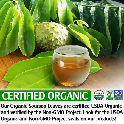 KEYXE - USDA Organic Soursop Graviola Leaves Tea 50 Bags. Non-GMO Verified , 100% Organic Soursop Leaves for Digestion, Boosting Immune, Improving Sleep & Skin Health, Gluten Free, Caffein Free , Hojas De Guanabana Tea Organica, Eco-Conscious Tea Bags