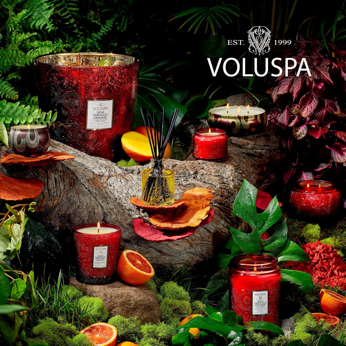 Voluspa Baltic Amber Candle, 18 oz, Coconut Wax Blend, Scented Candles for Home, 100 Hour Burn Time, Candle Jar