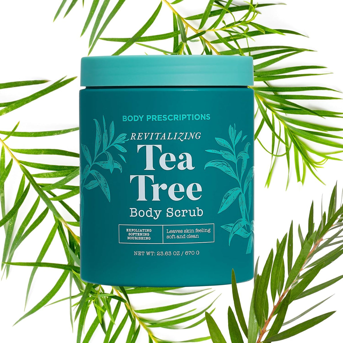 Body Prescriptions Exfoliating Body Scrub – Body Cleanser for Nourished, Ultra-Smooth Skin, Honey Citrus, Coconut Almond, and Sweet Mint