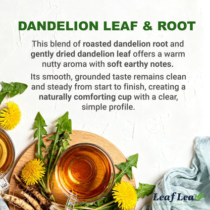 LeafLea Dandelion Root & Leaf Tea Bags, Caffeine-Free, No Sugar, 240 Count