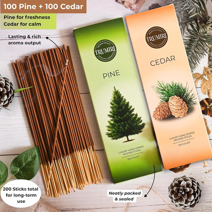 Hem Incense Sticks Variety Pack #23-120 Insence-Sticks (6 Incents x 20 Insense) + Incense Stick Holder with 6 Most Liked Scents Including Patchouli Dragons Blood White Sage Frankincense-Myrrh