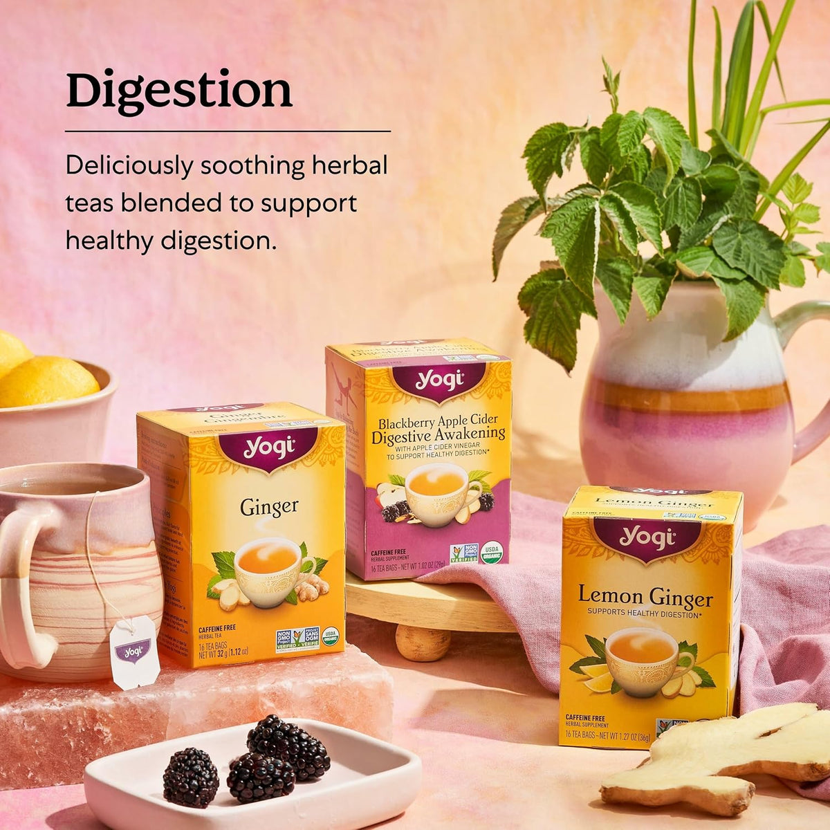 Yogi Stomach Ease Tea, 16 Tea Bags (6 Pack)