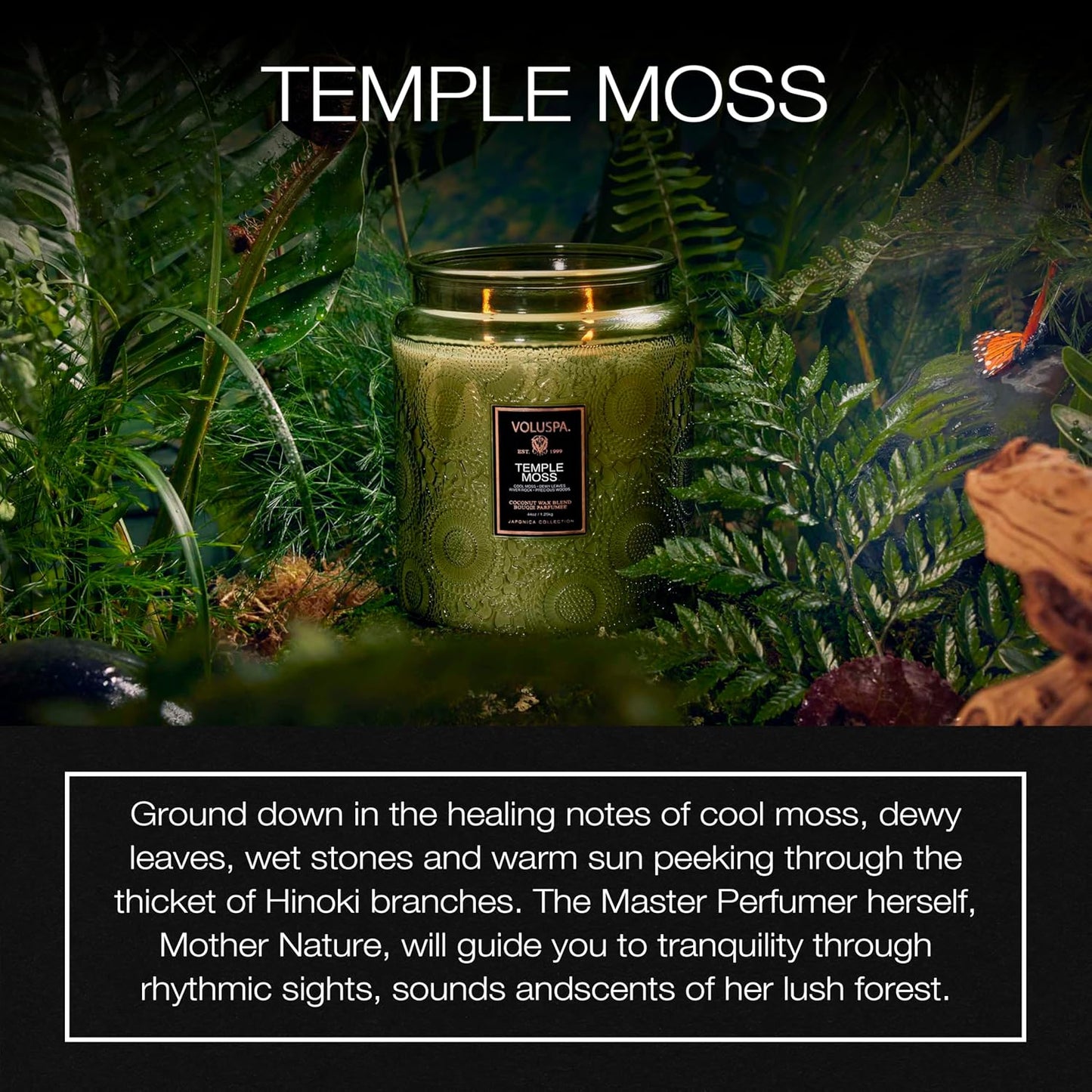 Voluspa Baltic Amber Candle, 18 oz, Coconut Wax Blend, Scented Candles for Home, 100 Hour Burn Time, Candle Jar